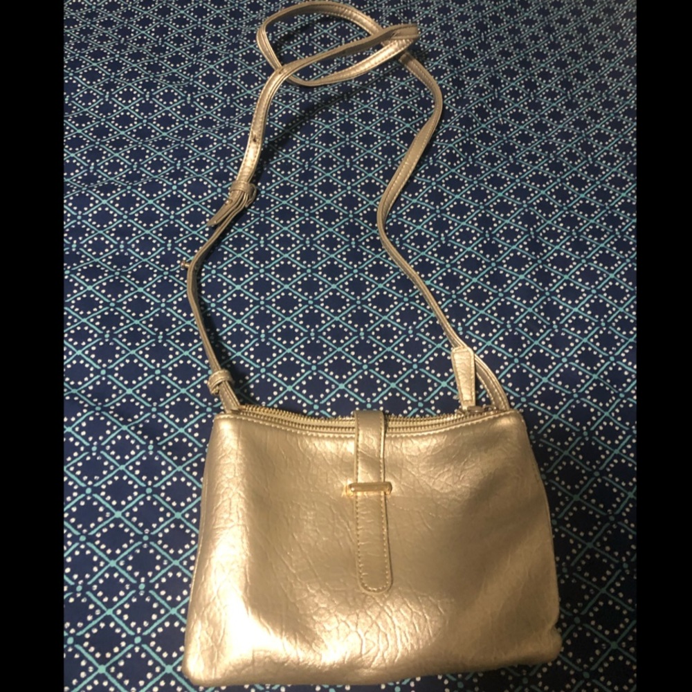 Gold/silver crossbody purse
